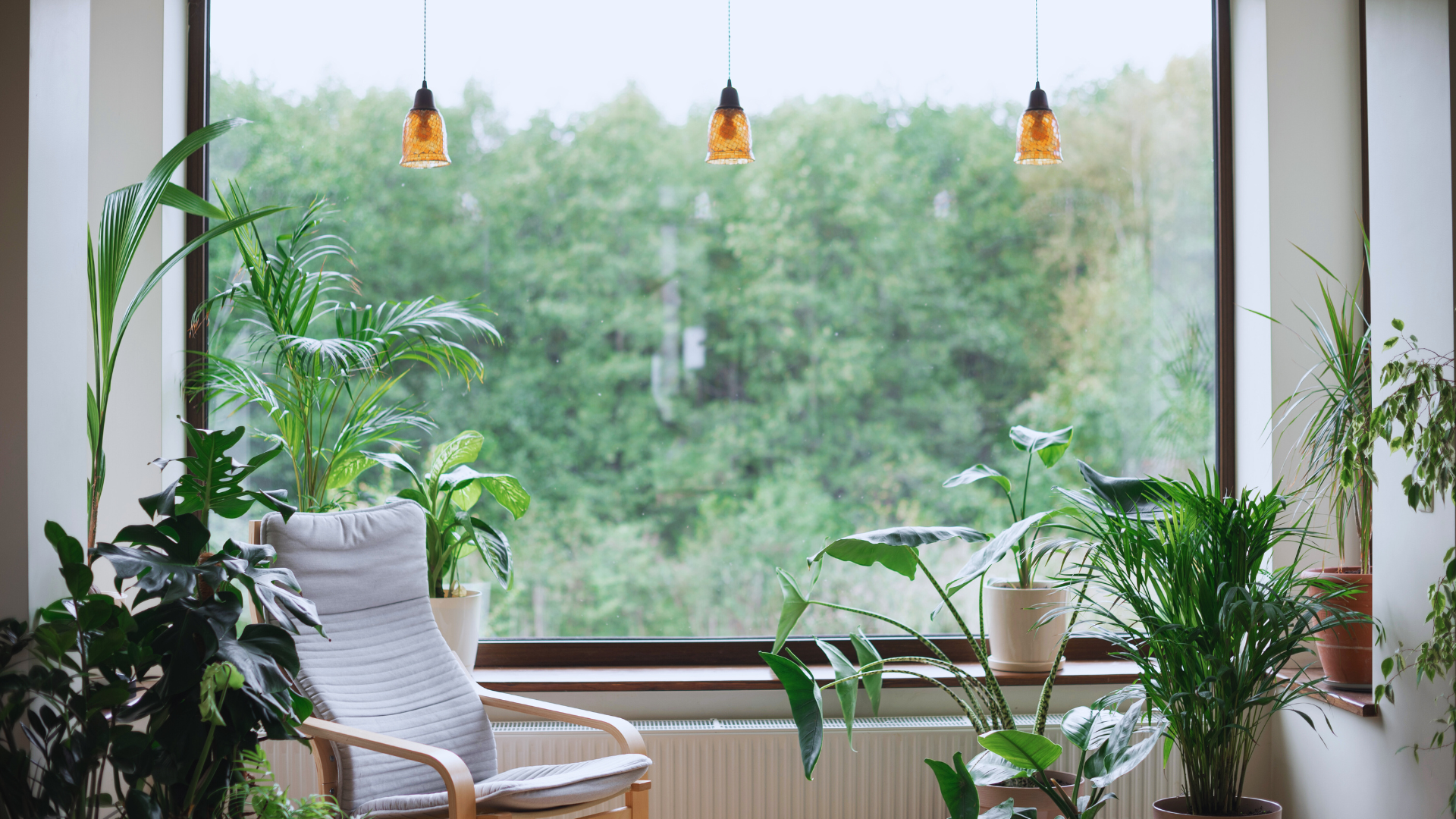 You are currently viewing Low Maintenance Home Garden: Simple Tips for Effortless Beauty