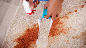 Read more about the article Common Carpet Cleaning Mistakes And How To Avoid Them For A Spotless Home