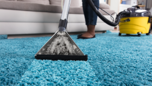 Read more about the article How to Deep Clean Carpets Without a Professional Efficiently and Effectively