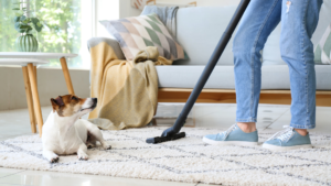 Read more about the article Tips for Removing Pet Odors from Carpets Effectively and Safely